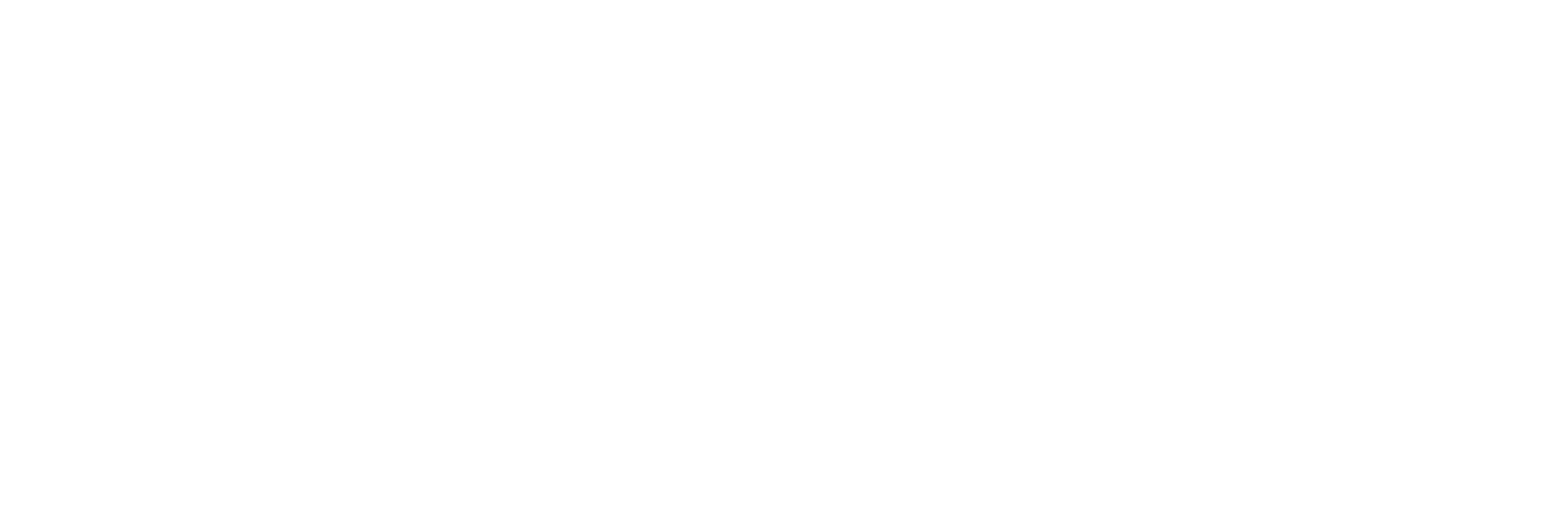 APChemi — Pyrolysis Technology Leaders